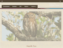 Tablet Screenshot of kingsvilletexas.com